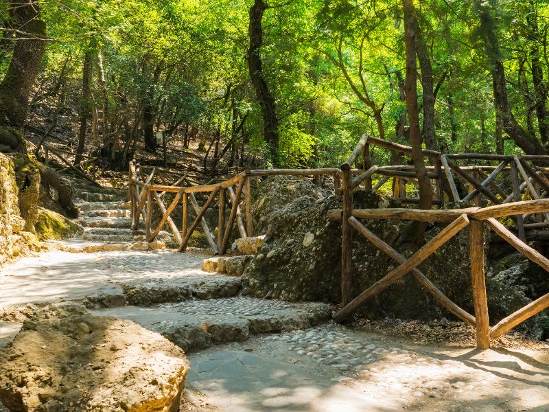 Nature trip in Rhodes