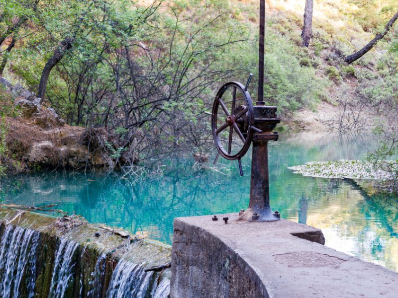 Nature trip in Rhodes