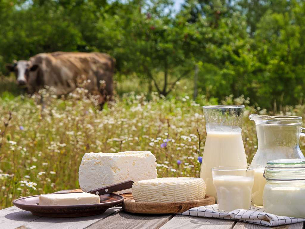 dairy products rhodes