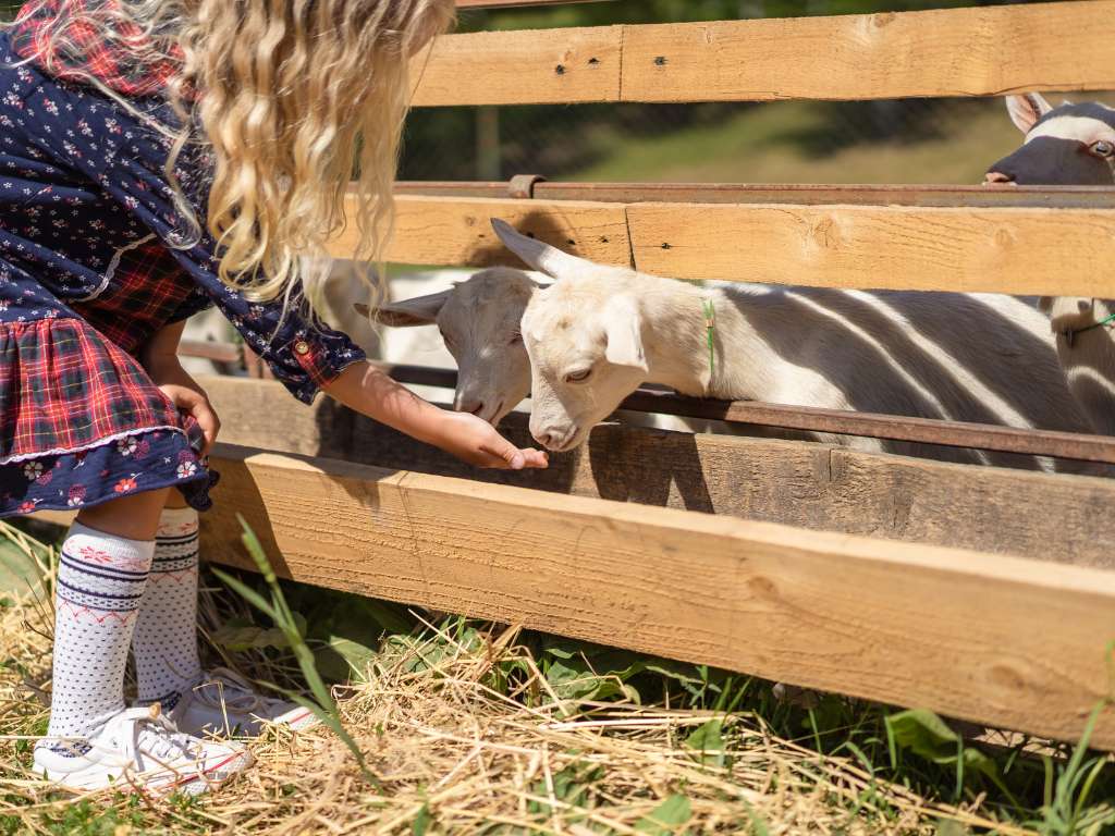 interaction-with-animals-calm