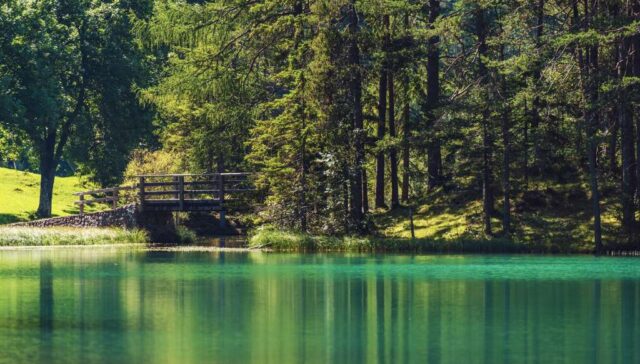 Why nature calms more than any other activity